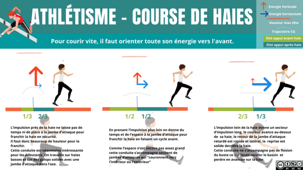 Infographie Course de haies