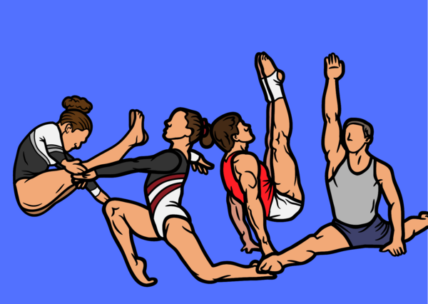 La gymnastique au collège